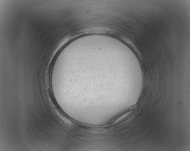 X0000080711083200701121811