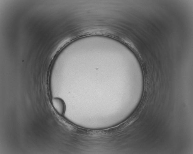 X0000080711087200701121811