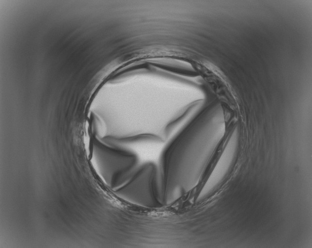 X0000080711089200701121811