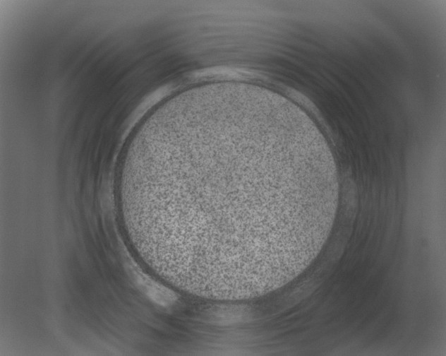 X0000080711090200701121811