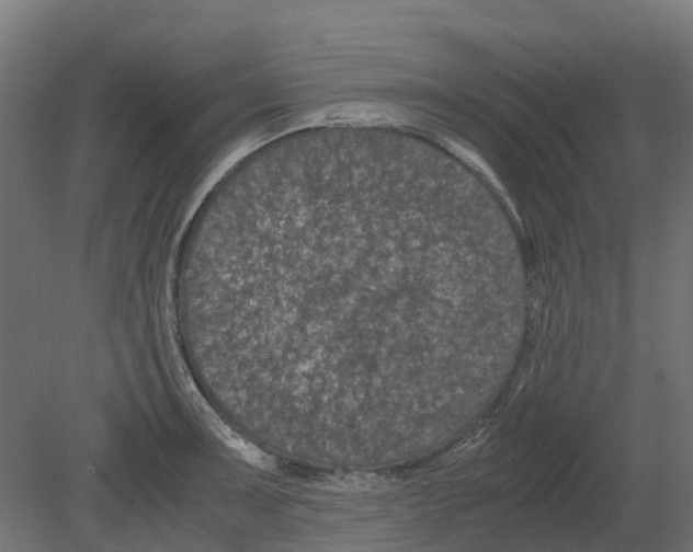 X0000080711091200701121811