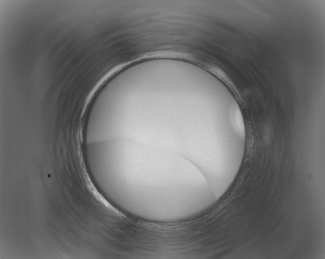 X0000080711092200701121811