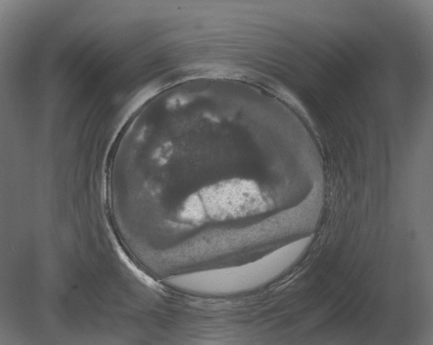 X0000080711095200701121811