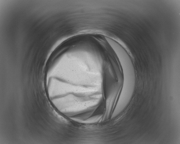 X0000080711102200701121811