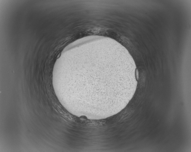 X0000080711105200701121810