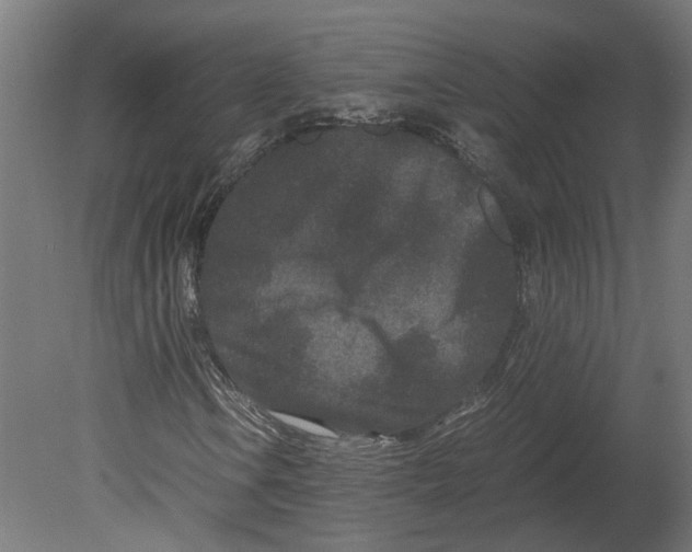 X0000080711106200701121810