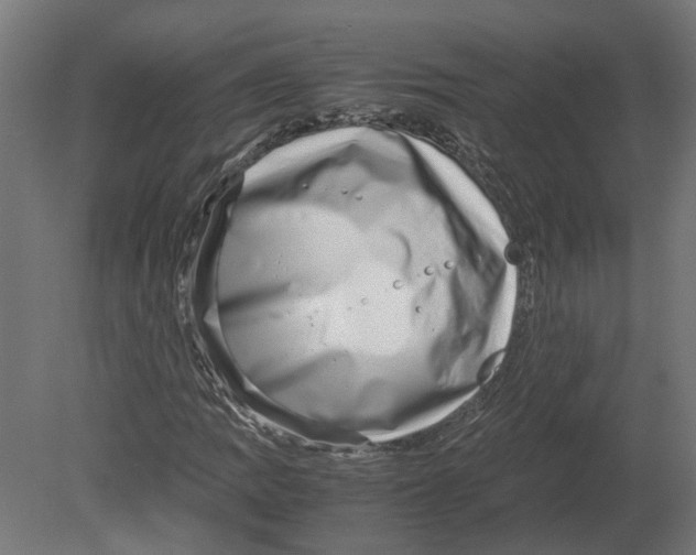 X0000080711109200701121810