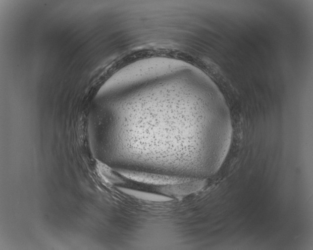 X0000080711110200701121810