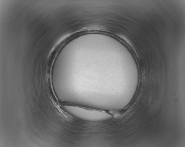 X0000080711115200701121810