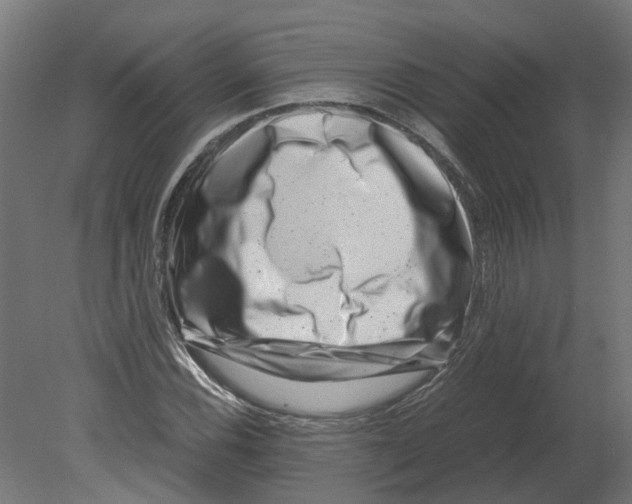 X0000080711116200701121810