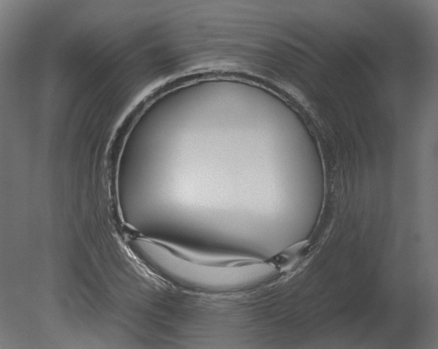 X0000080711118200701121810