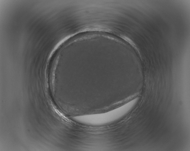 X0000080711120200701121810