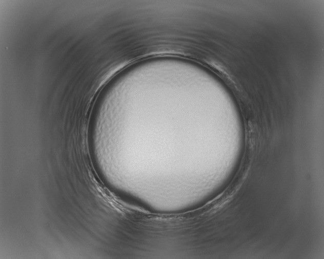 X0000080711121200701121810