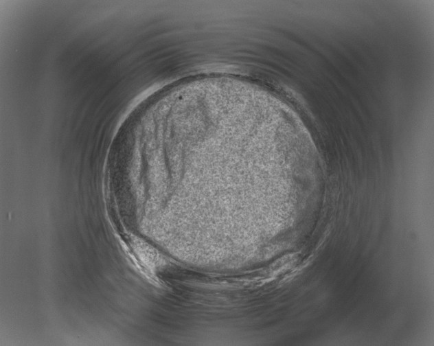 X0000080711125200701121810