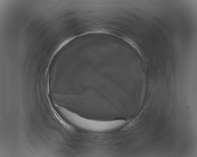 X0000080711127200701121810