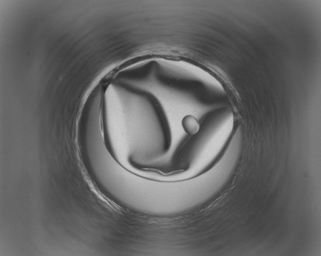 X0000080711128200701121810