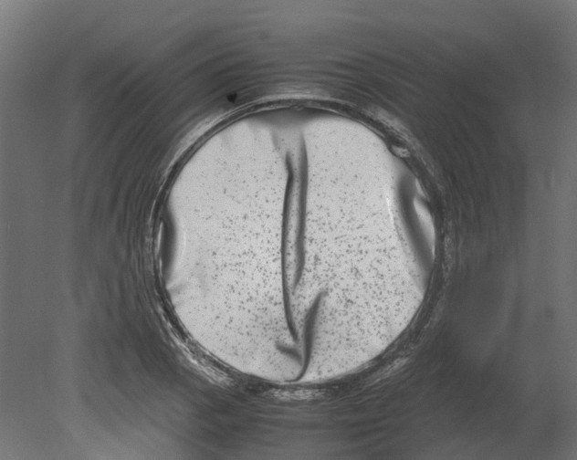 X0000080711129200701121810