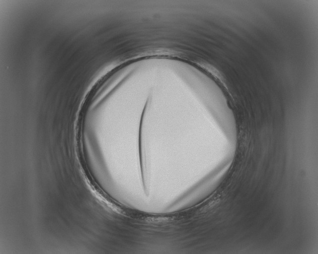 X0000080711135200701121810