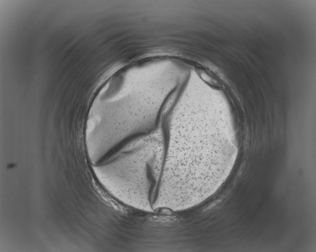 X0000080711137200701121810