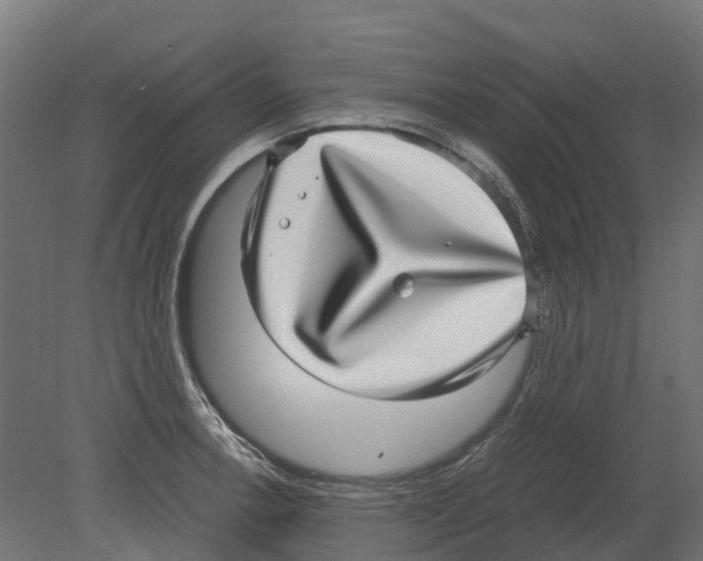 X0000080711138200701121810