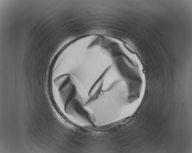 X0000080711139200701121810