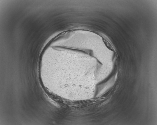 X0000080711149200701121811