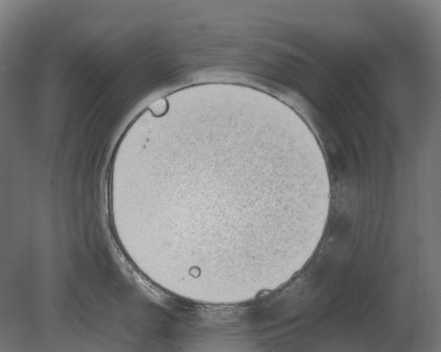 X0000080711150200701121811