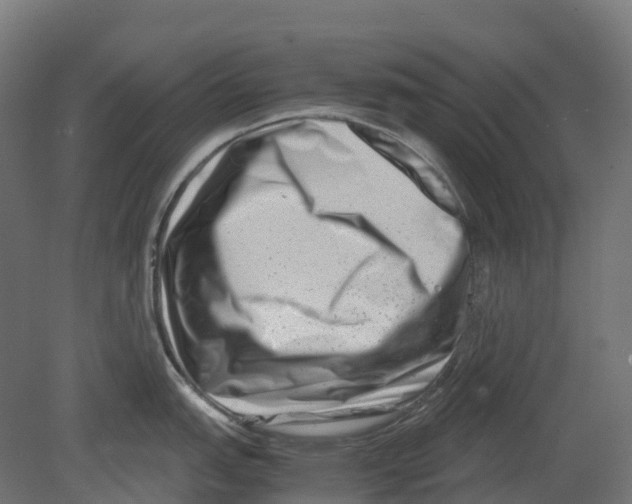 X0000080711151200701121811