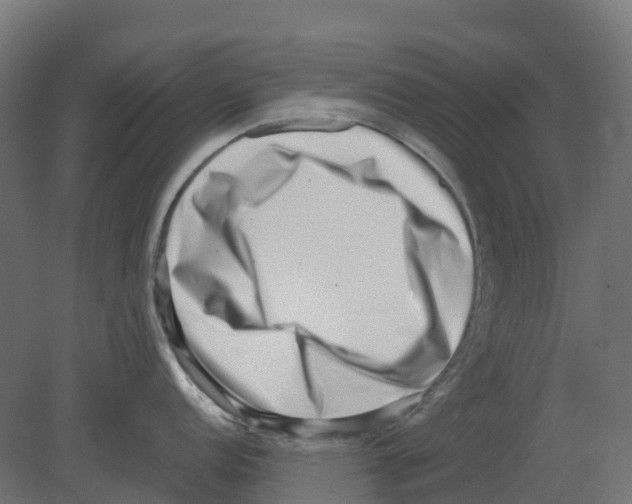 X0000080711152200701121811