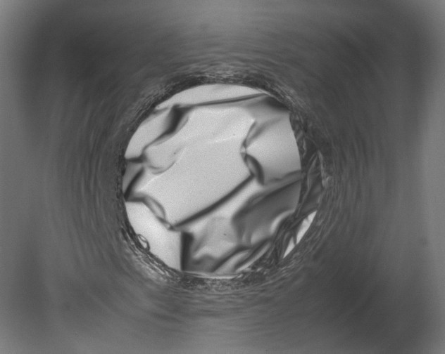 X0000080711153200701121810