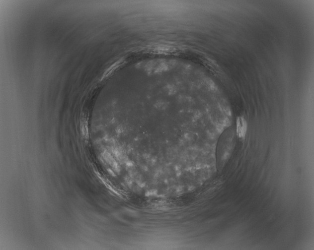 X0000080711155200701121810