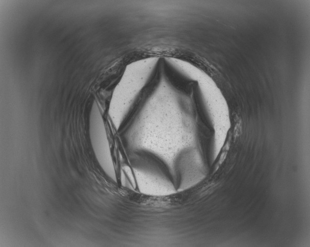 X0000080711156200701121810