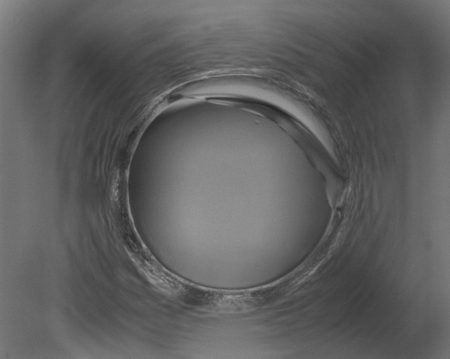 X0000080711161200701121810