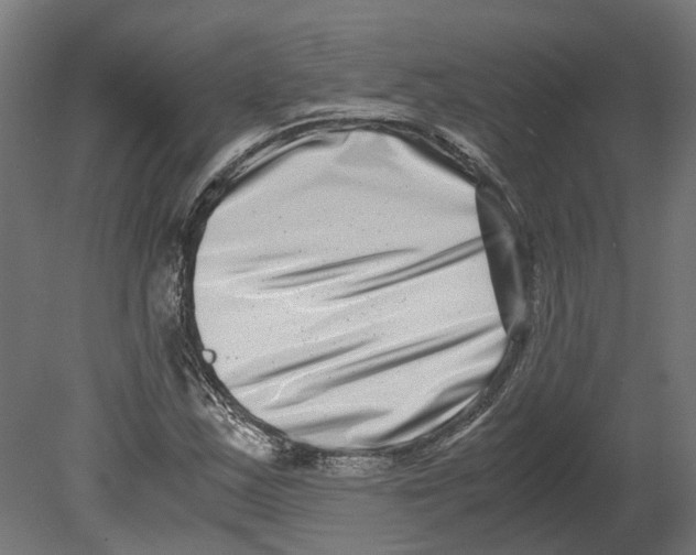 X0000080711163200701121810