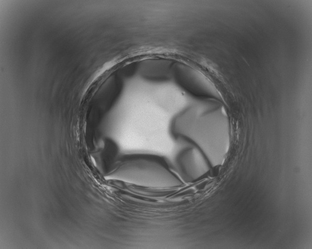 X0000080711165200701121810