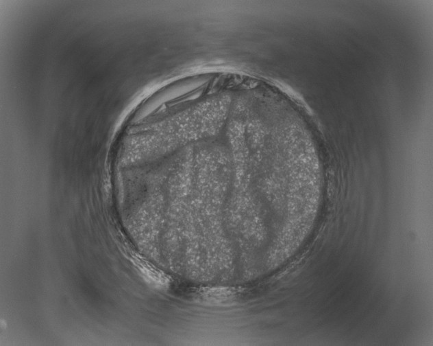 X0000080711167200701121810