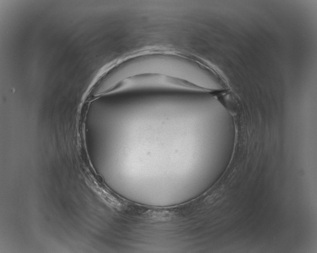 X0000080711168200701121810