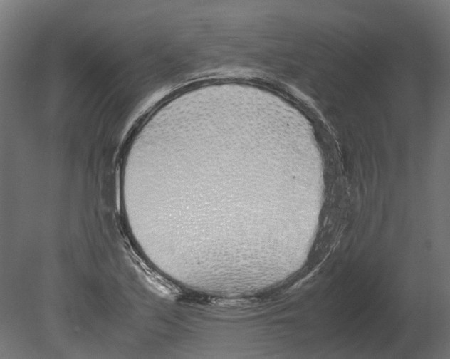 X0000080711171200701121810