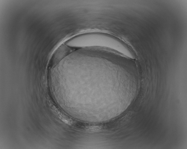 X0000080711173200701121810