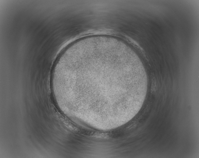 X0000080711174200701121810