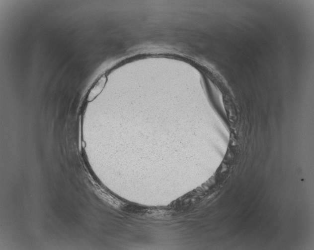 X0000080711175200701121810