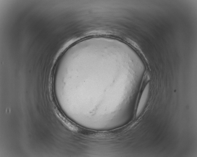 X0000080711179200701121809