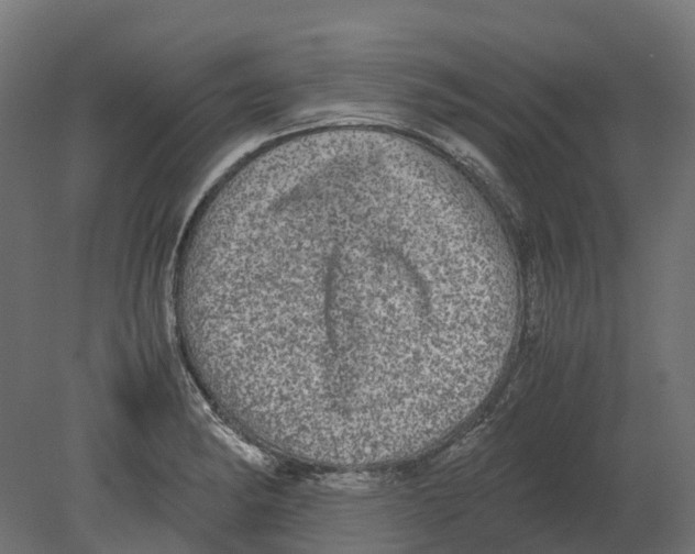 X0000080711182200701121809