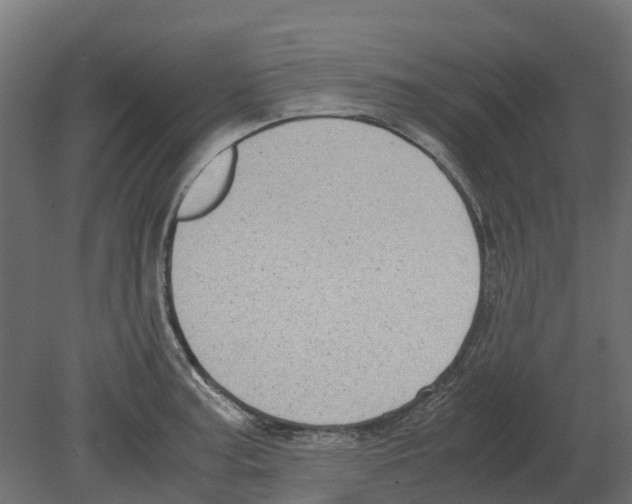 X0000080711187200701121809