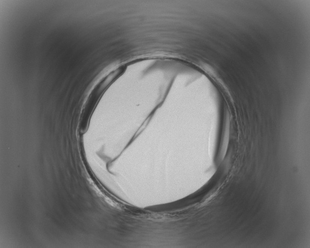 X0000080711189200701121809