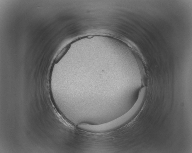 X0000080711192200701121809