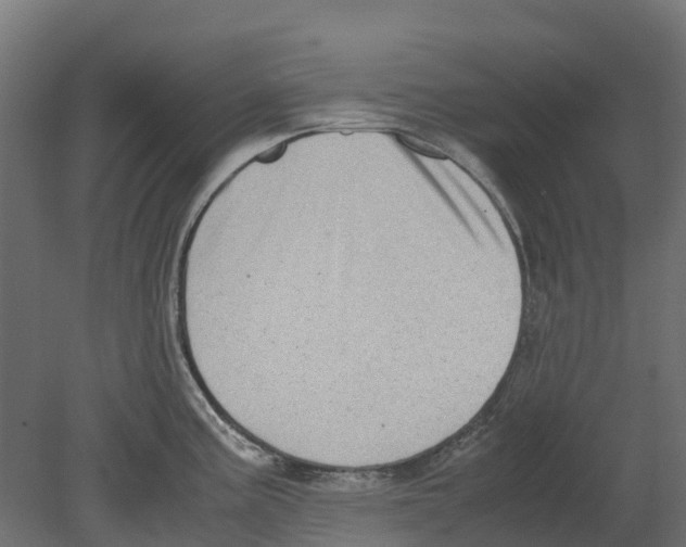 X0000080711195200701121809