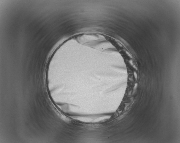 X0000080711196200701121809