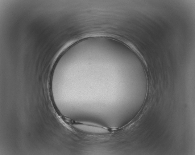 X0000080711197200701121809