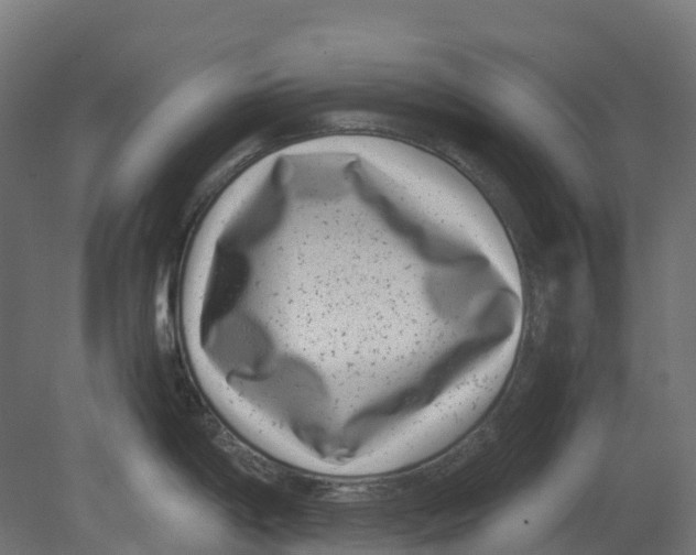 X0000080711198200701121809